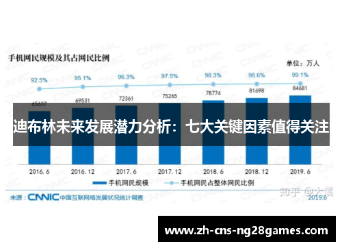 迪布林未来发展潜力分析：七大关键因素值得关注