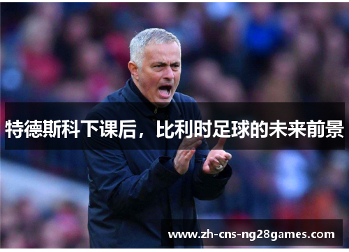 特德斯科下课后，比利时足球的未来前景