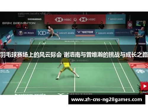 羽毛球赛场上的风云际会 谢浩南与曾维瀚的挑战与成长之路