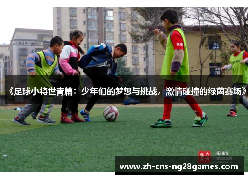 《足球小将世青篇：少年们的梦想与挑战，激情碰撞的绿茵赛场》