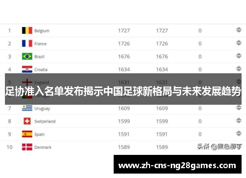 足协准入名单发布揭示中国足球新格局与未来发展趋势