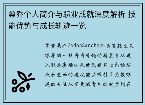 桑乔个人简介与职业成就深度解析 技能优势与成长轨迹一览